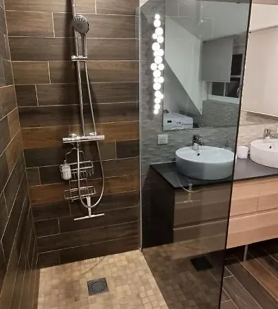 Grenier A Sel Gentleman * Colmar