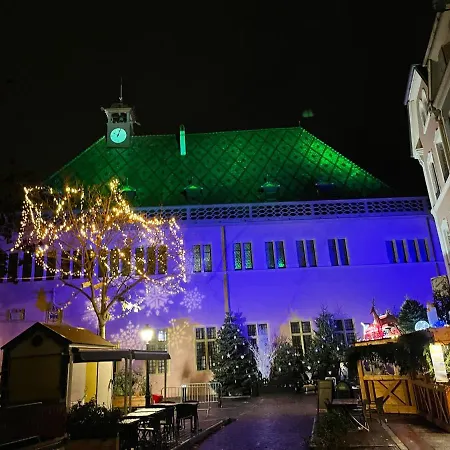 Grenier A Sel Gentleman Apartman Colmar