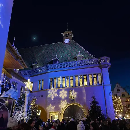 Grenier A Sel Gentleman Lägenhet Colmar