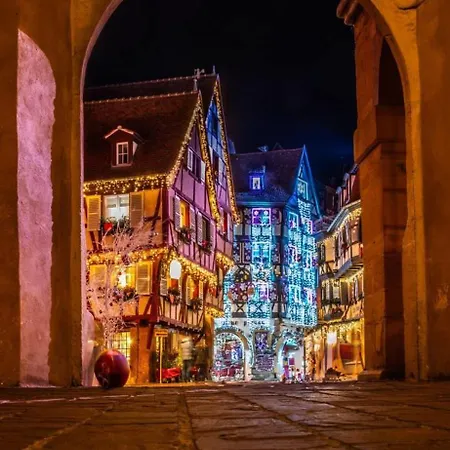 Apartman Grenier A Sel Gentleman Colmar