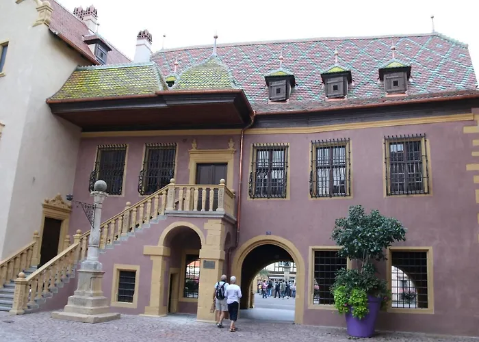 Grenier A Sel Gentleman 科尔马