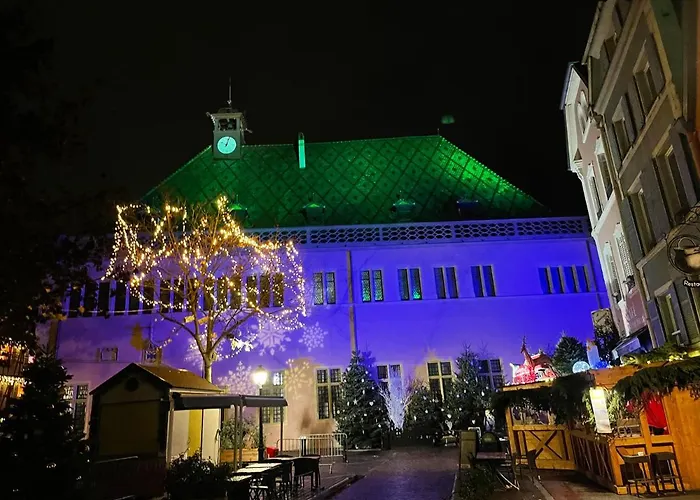 Grenier A Sel Gentleman 公寓 科尔马