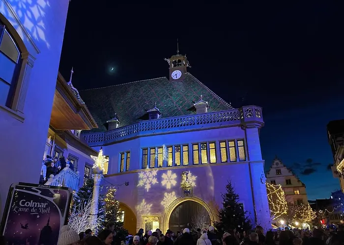 Grenier A Sel Gentleman 公寓 科尔马